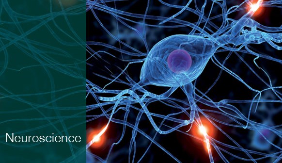 علم الأعصاب والتطرف الديني - أرشيف