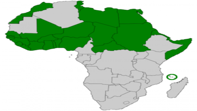 دور المغرب في مكافحة الإرهاب في منطقة الساحل والصحراء