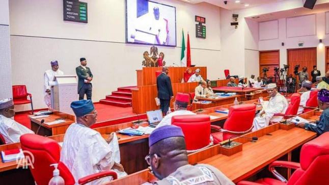مجلس الشيوخ النيجيري يرفض طلب الرئيس تينوبو إرسال قوات للنيجر