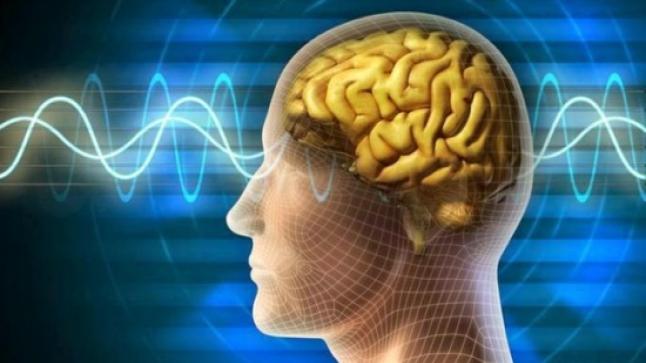 دراسة حديثة: التدبر والتأمل يقي دماغ الإنسان من الشيخوخة