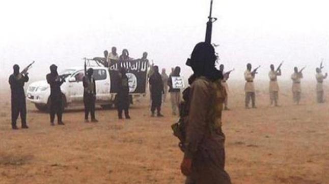 مقتل 29 إرهابيا في اشتباكات بين “داعش غرب أفريقيا” و”بوكو حرام” في نيجيريا