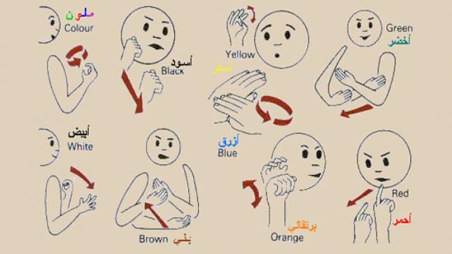 مصر: خطبة الجمعة بلغة الإشارة